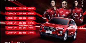 强动力智能SUV海马8S C位出道