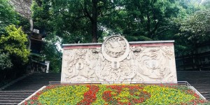 先睹为快！100万盆鲜花妆点酒城 助力酒博会