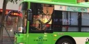 运力加倍，班次加密，泸州4条扫墓专线来了！