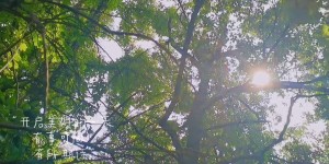 泸州本周晴朗回归， 但雨水依旧有