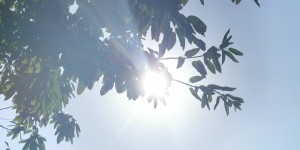 雨雨雨……什么时候结束？本周泸州天气是这样的！