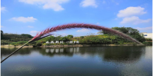 招商“最泸州”：泸州“最诗意”的生态垂钓园