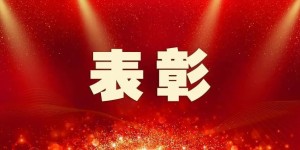 祝贺！这些集体、个人被全国表彰