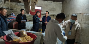 挨着猪圈、现场臭气熏天！纳溪一食品“黑作坊”被依法查封