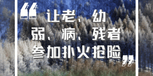 发布蓝色预警！龙马潭区严防森林火灾