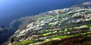 泸州将新增两条旅游公路，在这里……
