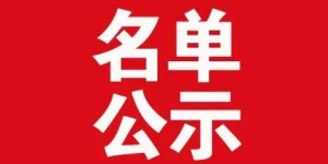公示丨泸州拟表扬一批“担当作为好干部”