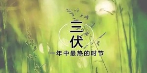 “三伏天”千万别做这7件事，你以为在养生，其实在“养病”！