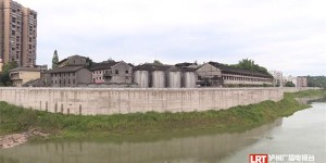 与汛期“赛跑” 沱江左岸胡市场镇段堤防工程预计9月完工