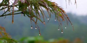 注意“秋老虎”！泸州连续三天发布高温橙色预警，泸州还要“烤”多久？