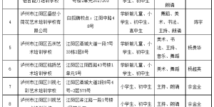 有11家 江阳区新一批文化艺术类校外培训机构正在公示