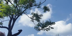 秋裤莫忙穿？洋葱穿衣法搞起来，太阳在路上了！