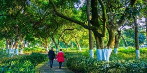 方案公布！泸州将这样创建国家生态园林城市