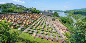 预计年产值30亿元至50亿元！泸州这一省重点项目有新进展