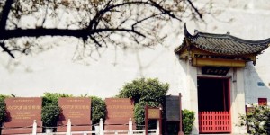 省级基地，泸州＋2！考核结果：优秀！