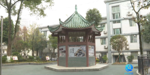 泸州主城区“口袋公园”+8！你去逛过吗？十四五期间还将“上新”10至20个→