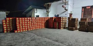 非法运输、储存烟花爆竹！泸州这些人，遭了！