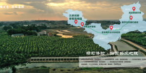 17公里沱江水岸环抱，泸州这里最新发布4条旅游线路→