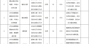 快来！泸州这6条道路等你取名