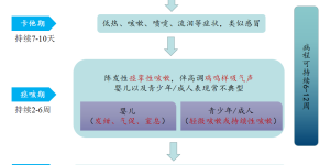 咳不停，反复咳嗽总不好……一月份全国报告数量猛增，警惕是这种病→