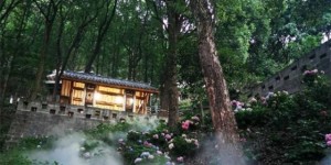 抓住春天的尾巴！泸州4条春游线路推荐，周末坐公交踏青“趣”~