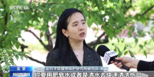 已入侵泸州3个区县！有致命危险，市民发现请立即上报