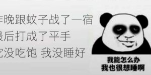 我市已发现输入病例！登革热进入流行季，出现这些症状请小心……