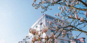 欢迎报考！西南医科大学2024年在职临床医师申请临床医学博士专业学位招生简章发布