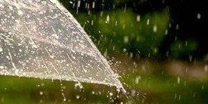 泸州发布蓝色预警！今晚有大雨，局部暴雨、大风、雷电……