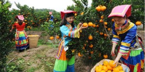 连续三年上榜！泸州此地入选全国百佳……