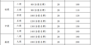 下周开始报名！ 2024年泸州社会艺术水平考级通知来了