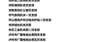 “两优一先”！泸州这些个人和集体获表彰，有你认识的吗？
