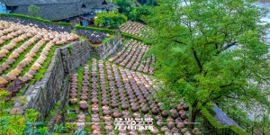 省级重点项目名单公布，泸州4个4个项目入选！