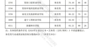 四川省2024年普通高等学校艺术体育类专业招生专科批调档线出炉
