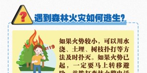 4级！泸州发布森林火险橙色预警