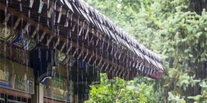 断崖式降温！你想要的冷空气来了，本周末泸州最高气温或降至2字头！