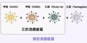 流感高发季来临，这个疫苗赶紧打！