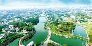 2024镇域创新发展潜力西部100强名单发布，泸州两镇上榜
