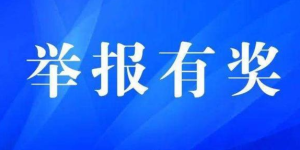 @泸州人，举报这类违法行为有奖