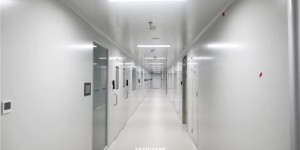 泸州医药项目+1，川南细胞产业中心投用