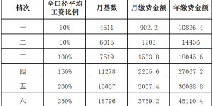 抓紧时间尽快缴费！2024年度个体养老保险集中缴费期即将结束