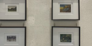 书画摄影爱好者看过来！泸州市文化馆这个展览你不能错过