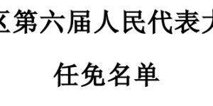 泸州市龙马潭区人大常委会通过一批人事任免