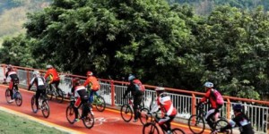 部分路段禁止车辆通行丨本周六，沱江骑游道、春华路交通有变