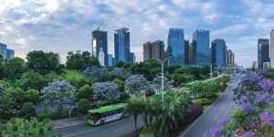 泸州27处绿波路段，带你感受美丽幸福城市道路！
