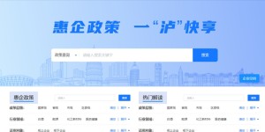 惠企政策 一『泸』快享丨企业“不跑腿”，轻松办理相关业务