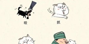 建议收藏！泸州市狂犬病暴露预防处置门诊信息汇总来了