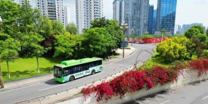【扩散】泸州这些人坐公交可享优惠福利
