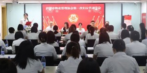 “三新” 领域妇建再添新成果丨泸州市物业管理协会妇联扬帆起航