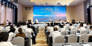 聚链成势·数智领航┃AI助推数字经济与数字政府协同发展研讨大会在泸州举行